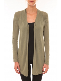 Vision de Rêve Cardigan 8677 vert